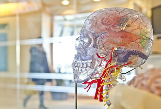 Neurological Physiotherapy