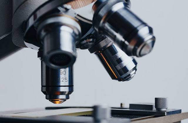 Health care and rehabilitation services